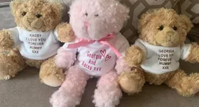 Galerie foto - poza 2