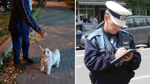 Amendă de 2.000 de lei pentru proprietarii de animale de companie din România, care fac această greșeală