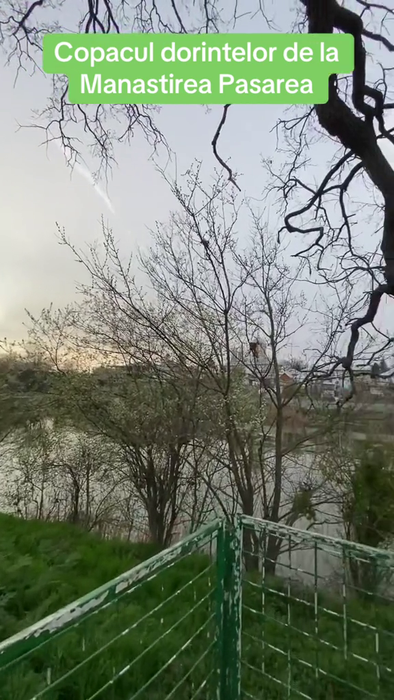 Sursa foto: capturi TikTok
