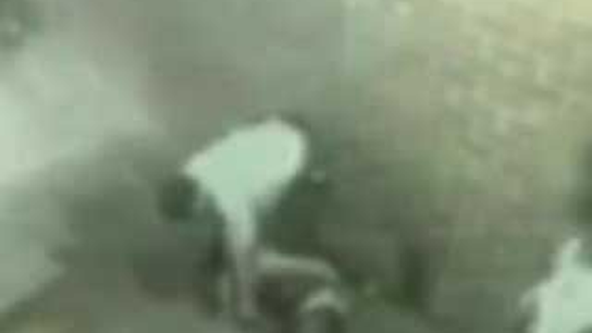 VIDEO Un politist ii indeasa furtunul de apa pe gat unui suspect ca sa obtina o marutrie
