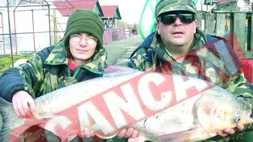 Razvan Tranca se refugiaza la Ploiesti