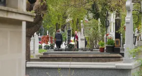 Galerie foto - poza 2