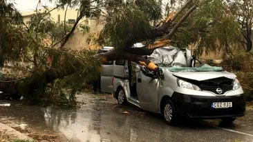 Un român a murit în timpul unei furtuni. Un copac s-a prăbuşit peste maşina lui şi... Comunicat oficial al MAE