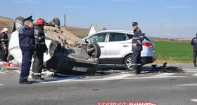 Galerie foto - poza 2