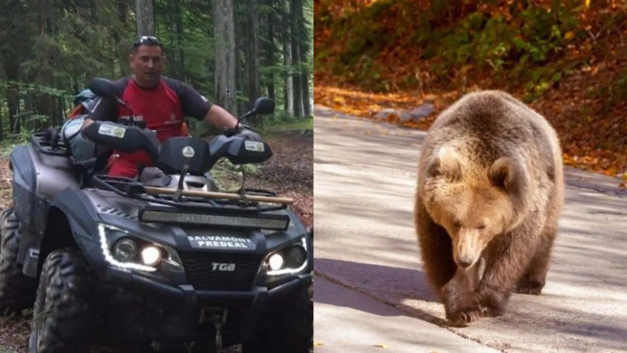 El este bărbatul atacat de urs și găsit inconștient în Predeal. Se zbate între viață și moarte