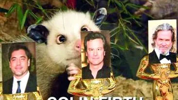Un animal sasiu alege castigatorii la Oscar