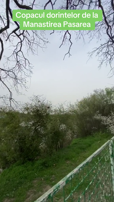 Sursa foto: capturi TikTok
