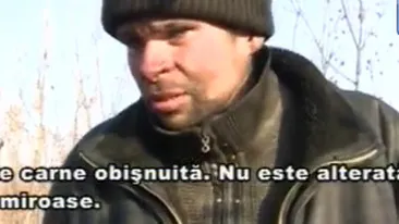Caz incredibil in Chisinau! Un barbat mananca pisici si caini, iar cu pieile ramase se incalzeste iarna! Uite cum arata masa lui zilnica! VIDEO IREAL!