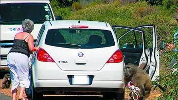 I-a furat poseta din masina