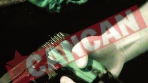 Grenade Si pistoale, In casele a doi frati agresivi