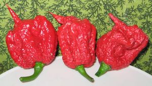 „Da’ iute să fie!” Românii și ardeiul lor curajos. Dar știi care este, de fapt, cel mai iute ardei din lume?