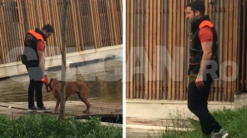 Câinele-vedetă al lui TUDY! Îşi antrenează… lăbuţele în parc!