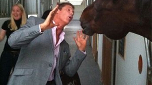 David Hasselhoff a ajuns rau