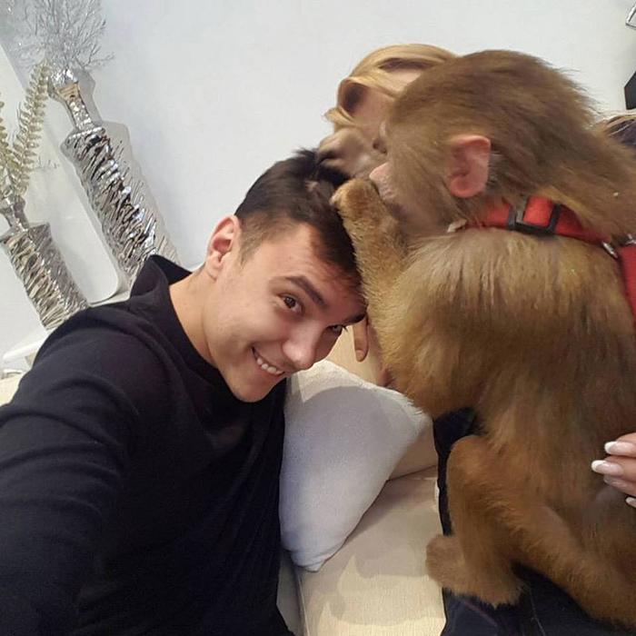 Andrei este extrem de zâmbitor în compania unei maimuţe