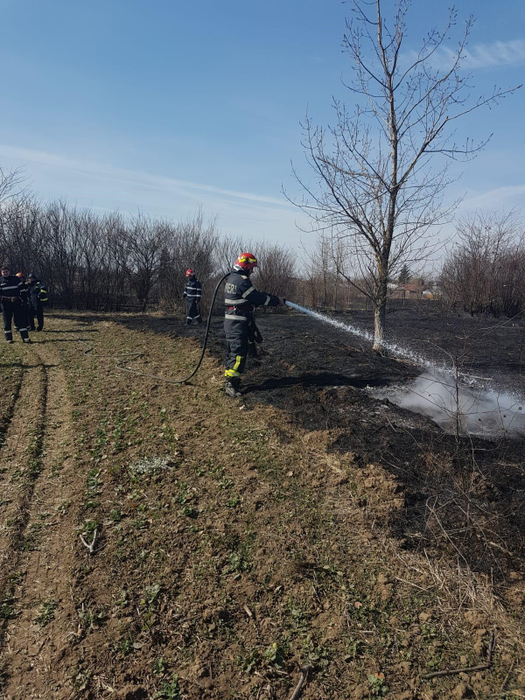 Un incendiu de vegetație a scăpat de sub control în Giurgiu