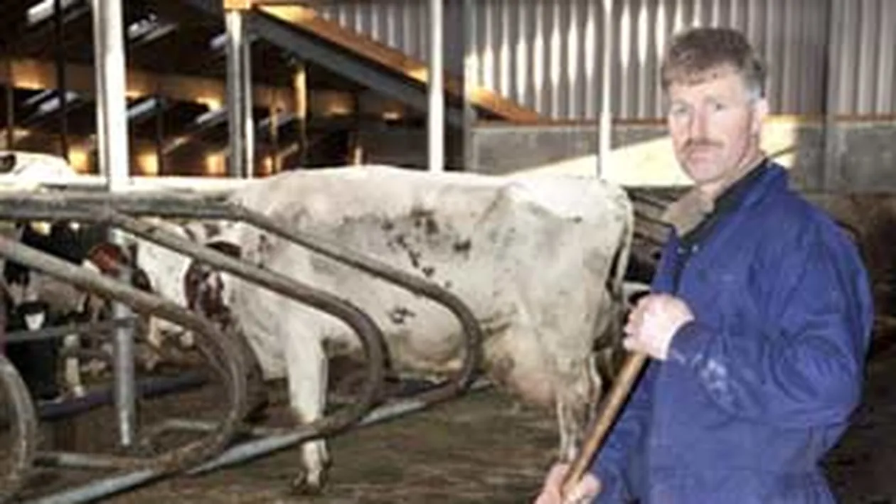 Afara cu balegaru` din curte!