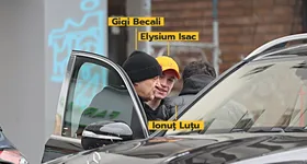 Galerie foto - poza 3