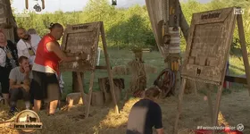 Galerie foto - poza 1