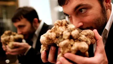 Condimentul care a ajuns să se vândă cu 2500 de euro pe kilogram. Prețul continuă să crească