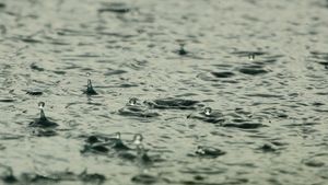 Prognoza meteo marți, 1 iunie. Vreme instabilă și rece