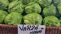 De necrezut! Câți lei costă 1 kilogram de varză nouă în piețele din România
