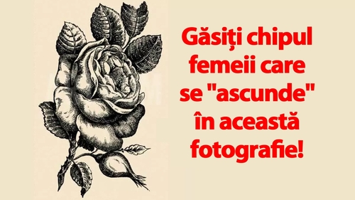 Test IQ din anul 1880 | Găsiți chipul femeii care se "ascunde" în această fotografie din Franța!