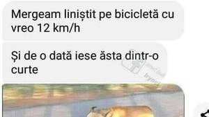 BANCUL ZILEI | "Mergeam liniștit cu bicicleta"
