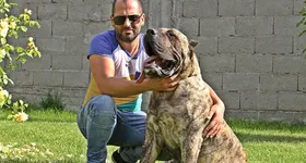 Galerie foto - poza 3