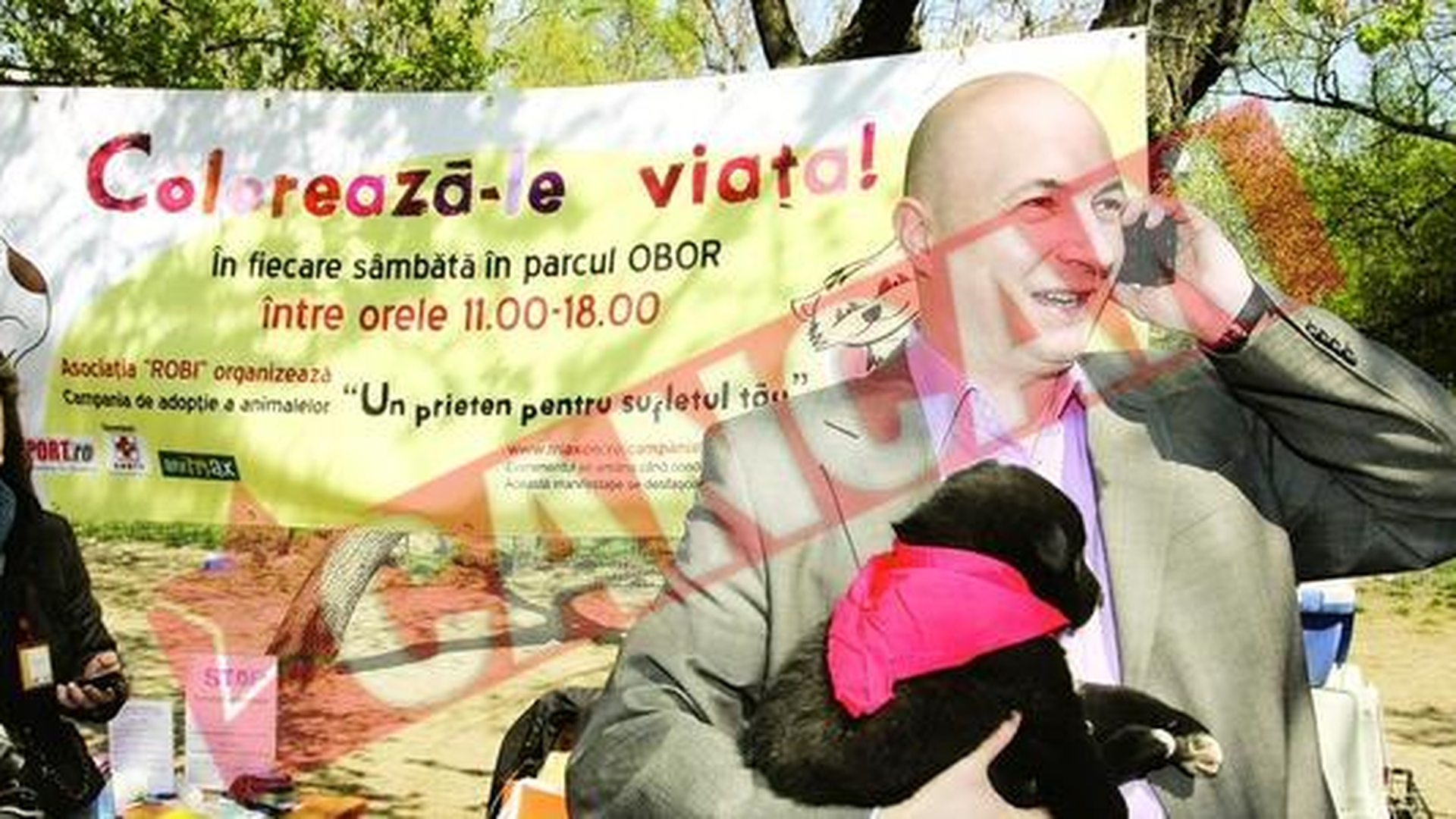 Codrin Stefanescu a primit un soarece mort