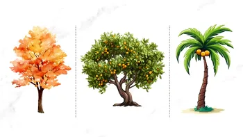 Cel mai tare test psihologic | Alege un copac! Răspunsul îți va dezvălui cel mai mare talent