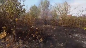 Tragedie în Olt. Un bărbat de 77 de ani a sfârșit carbonizat într-un incendiu de vegetație