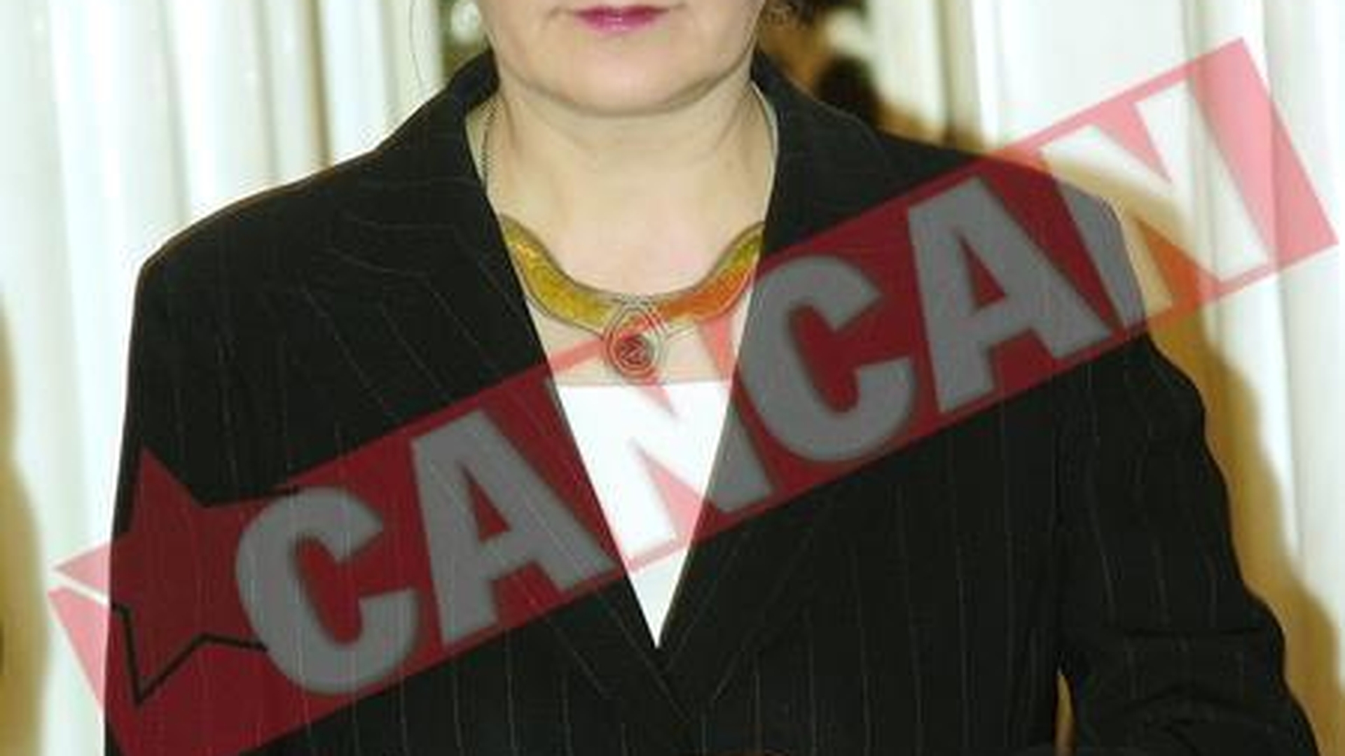 Monica Macovei, ministru In guvernul din umbra al PD-L