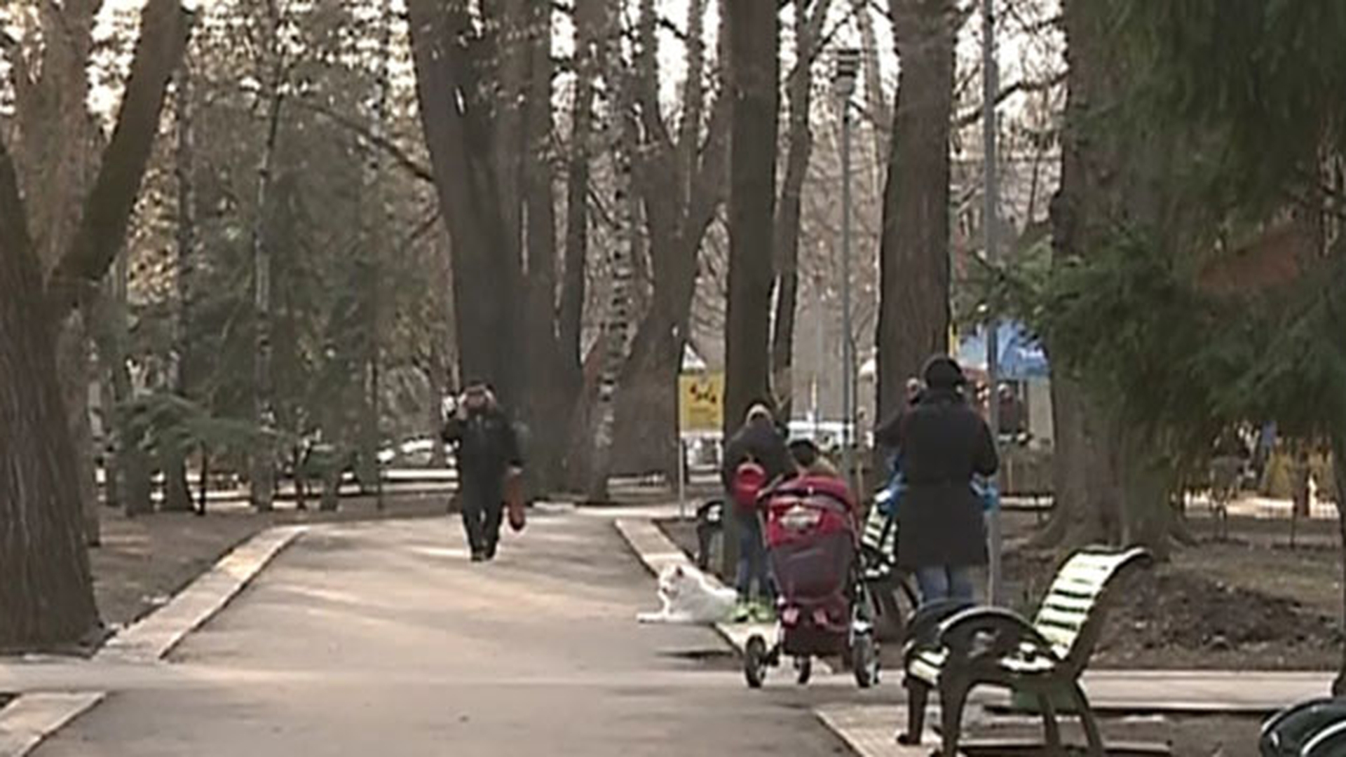 Meteo 14 februarie: Valorile termice vor fi mult mai ridicate decat ar fi normal