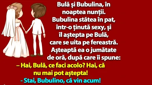 BANC | Bulă și Bubulina, în noaptea nunții: Hai, că nu mai pot aștepta!