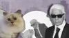 Pisica lui Karl Lagerfeld nu a primit niciun ban din moștenire, la 7 ani de la moartea designerului. Care este motivul