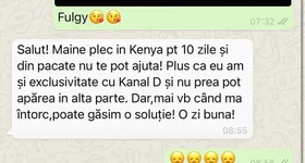 Galerie foto - poza 3