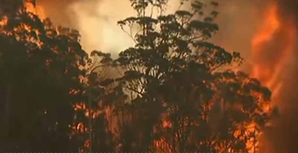 Mesajul sfâșietor al unei mame, prinsă în mijlocul incendiilor infernale din Australia cu bebelușul ei: “A  inhalat fum cam cât o persoană care fumează un pachet de ţigări pe zi”
