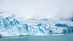 Creaturile care trăiesc și 11.000 de ani. Sunt foarte bizare și locuiesc în Antarctica
