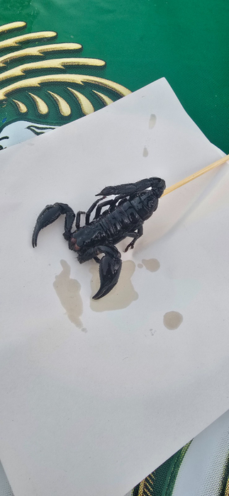 Fosta vedetă Pro TV care a mâncat crocodil și scorpion la micul dejun, în vacanța din Thailanda: “Curiozitatea a fost mai puternică decât frica”
