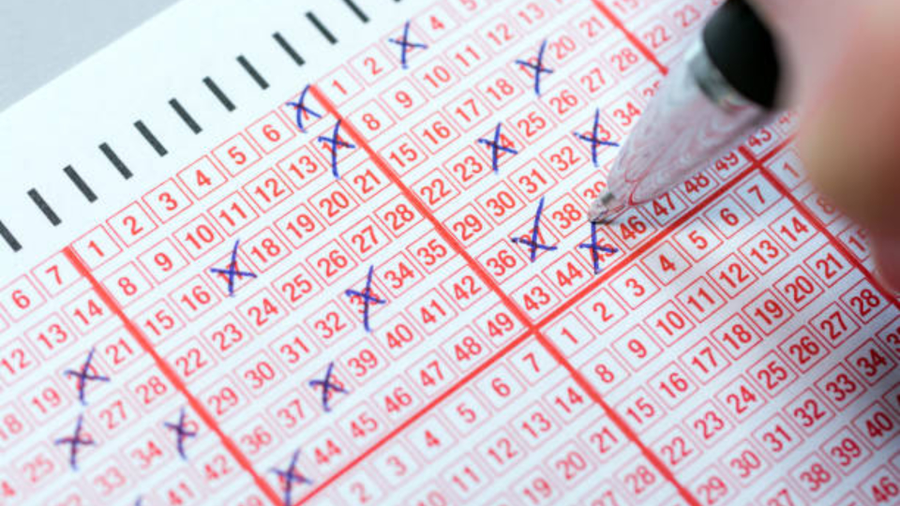 Loto 