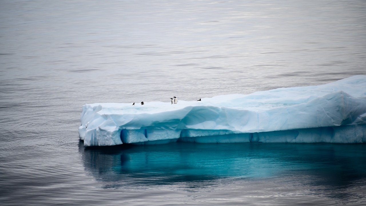 Oamenii de știință trag un semnal de alarmă! Fenomenul bizar din Antarctica a luat prin surprindere cercetătorii