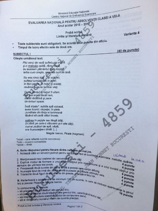Subiecte Evaluare Naţională 2017 Română