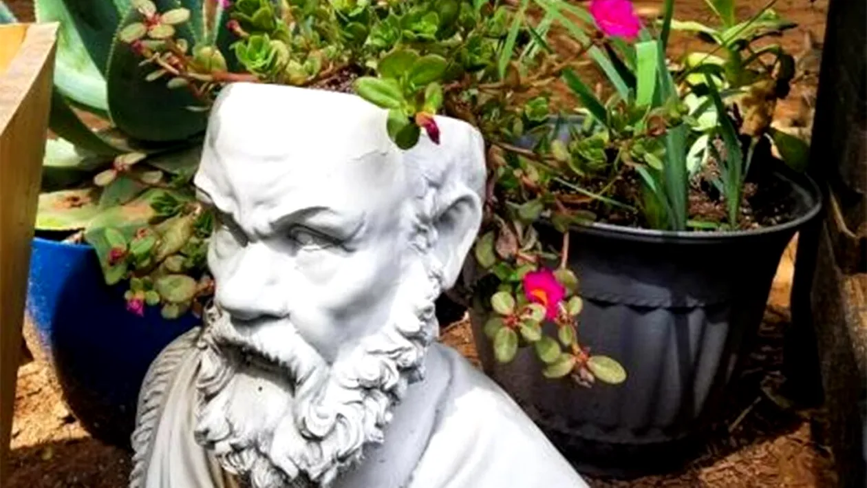 Iluzie optică virală | Găsiți pisica ascunsă în această imagine! Aveți la dispoziție doar 9 secunde