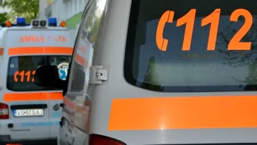 Ambulanțier aflat în timpul liber, mușcat de două ori de o viperă în Munții Apuseni