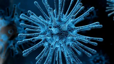 Trei scenarii care ar putea opri pandemia de coronavirus