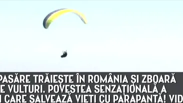 Omul-pasare traieste in Romania si zboara printre vulturi.