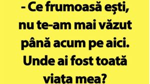 BANC | Bulă, la agățat: ”Ce frumoasă ești”