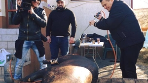 VÂRCIU şi nea MĂRIN l-au pârlit! ”Liviule, lasă...”