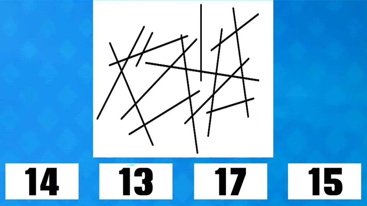 Test de inteligență | Câte linii apar în această imagine: 14, 13, 17 sau 15?