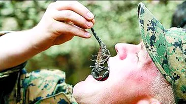 Pusi sa manance si sa bea sange de sarpe